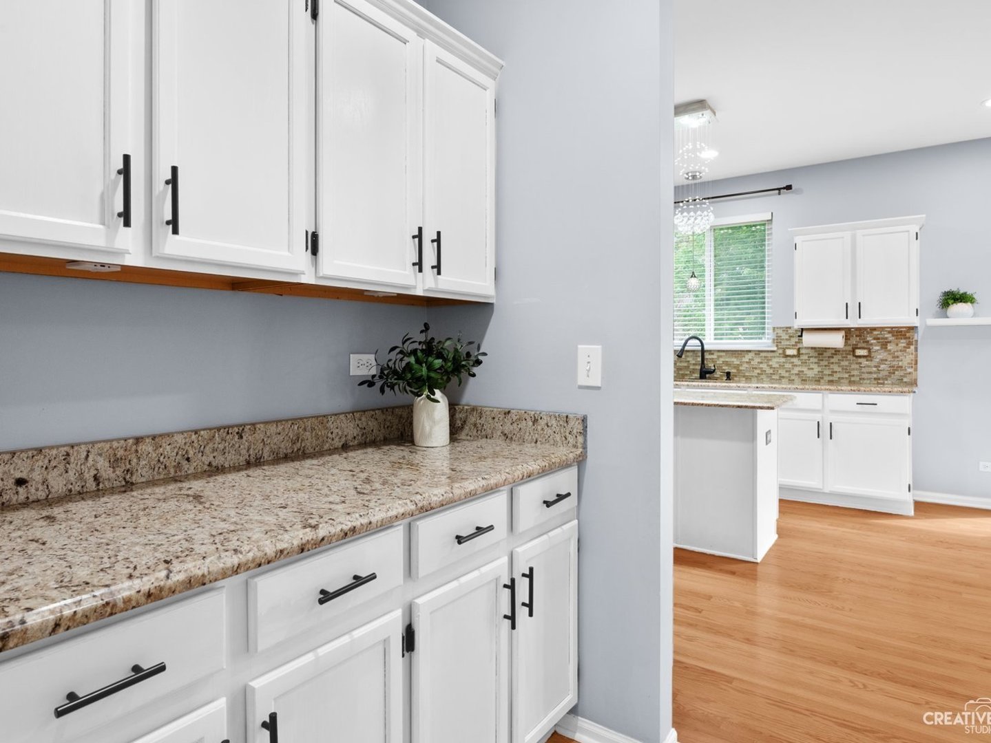 1208 Amaranth Drive, Naperville, IL 60564