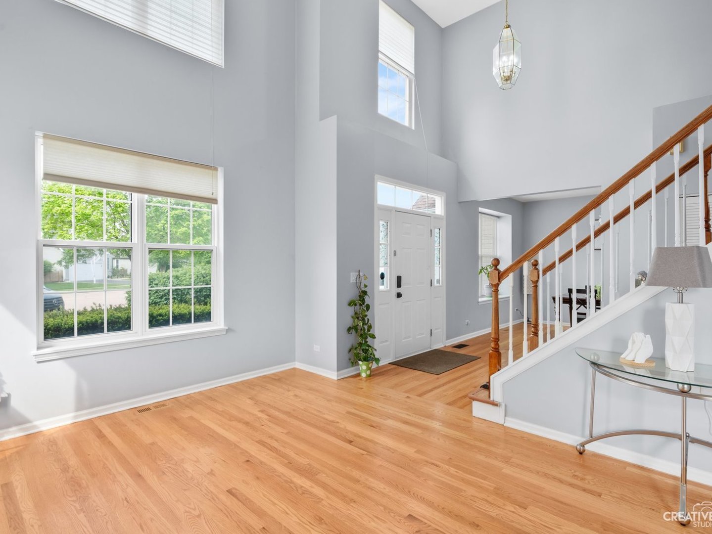 1208 Amaranth Drive, Naperville, IL 60564