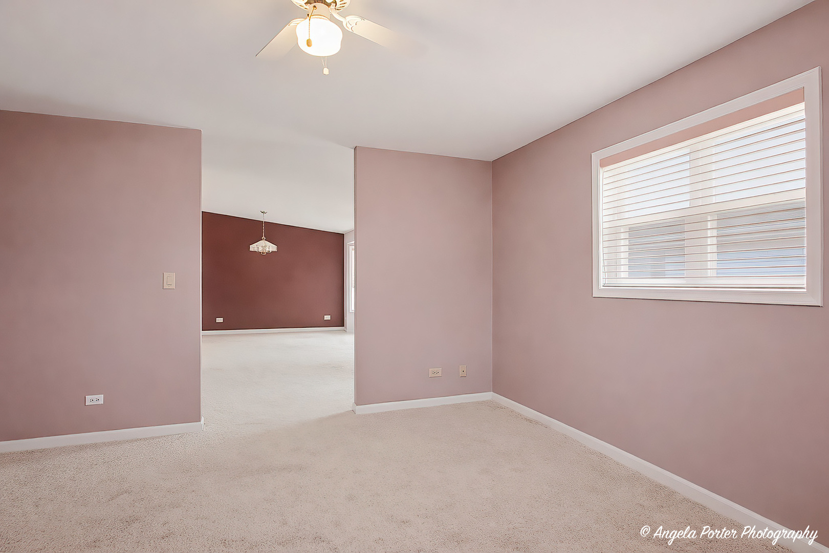 4 Hialeah Court, Grayslake, IL 60030