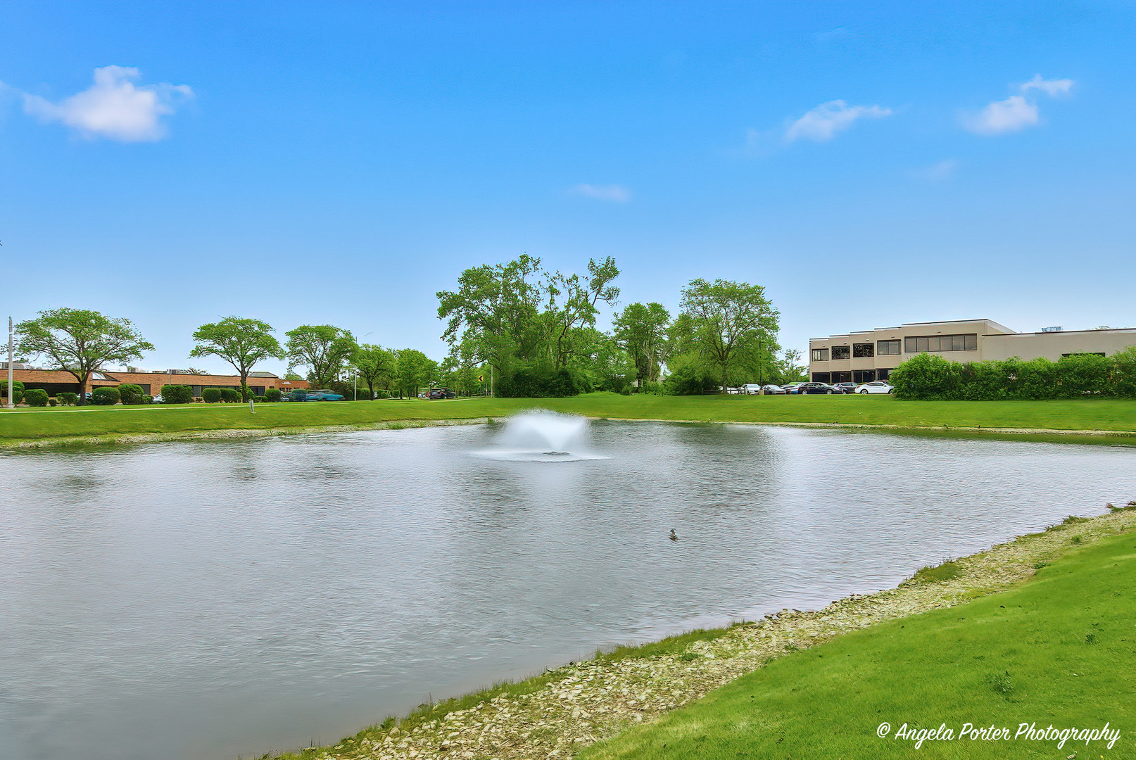 6 Villa Verde Drive #110, Buffalo Grove, IL 60089