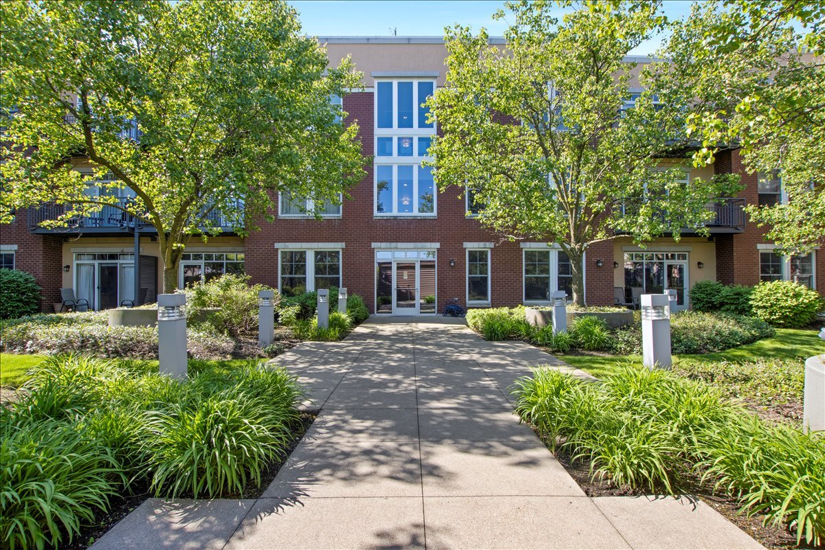 7243 MADISON Street #211, Forest Park, IL 60130