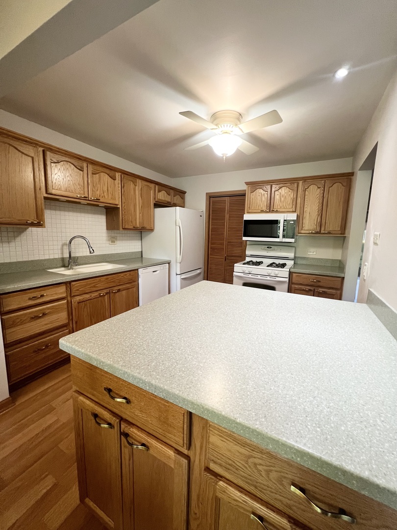 1106 Wildberry Court #B1, Wheeling, IL 60090