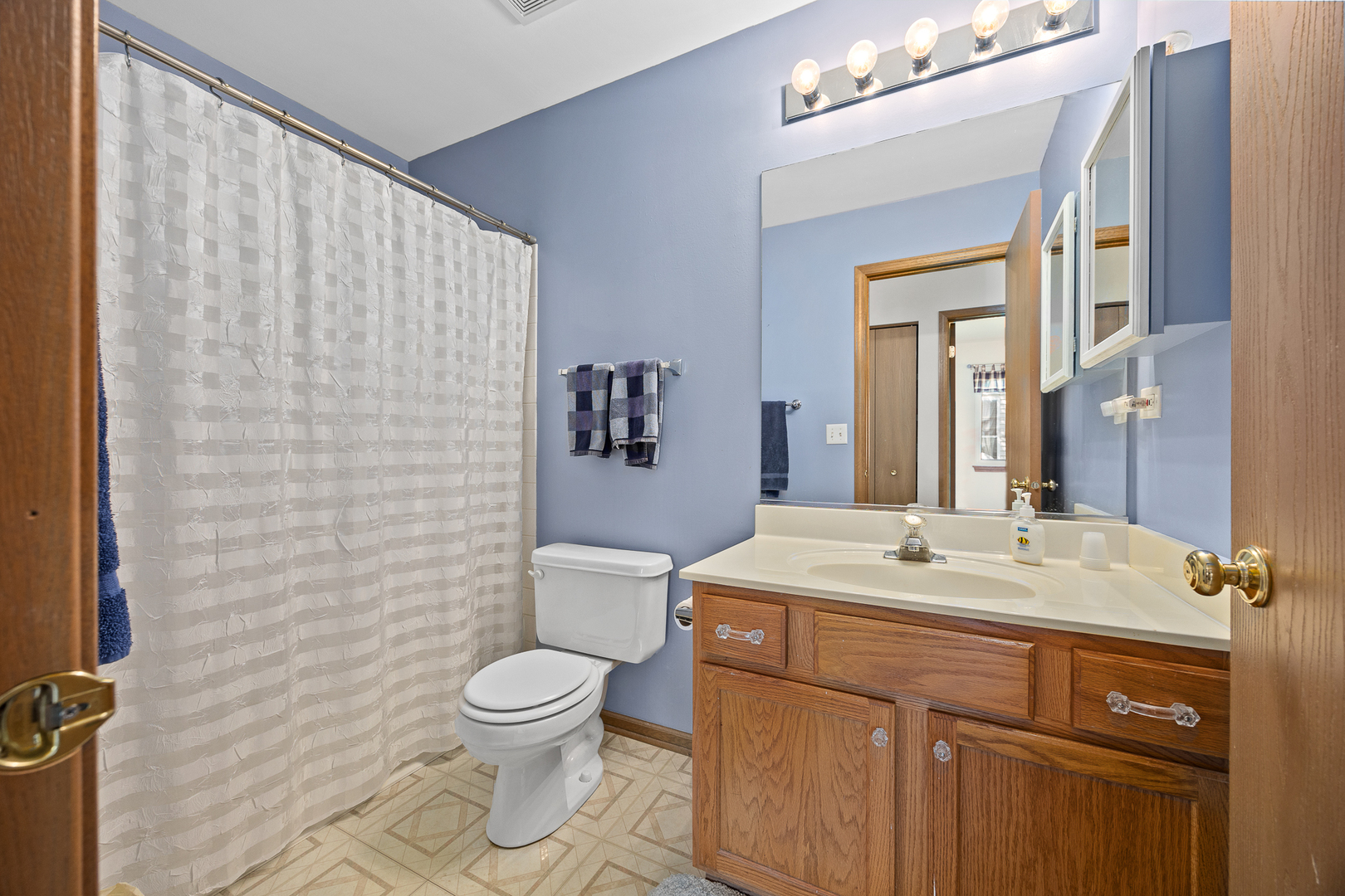 205 Woodlet Lane, Bolingbrook, IL 60490