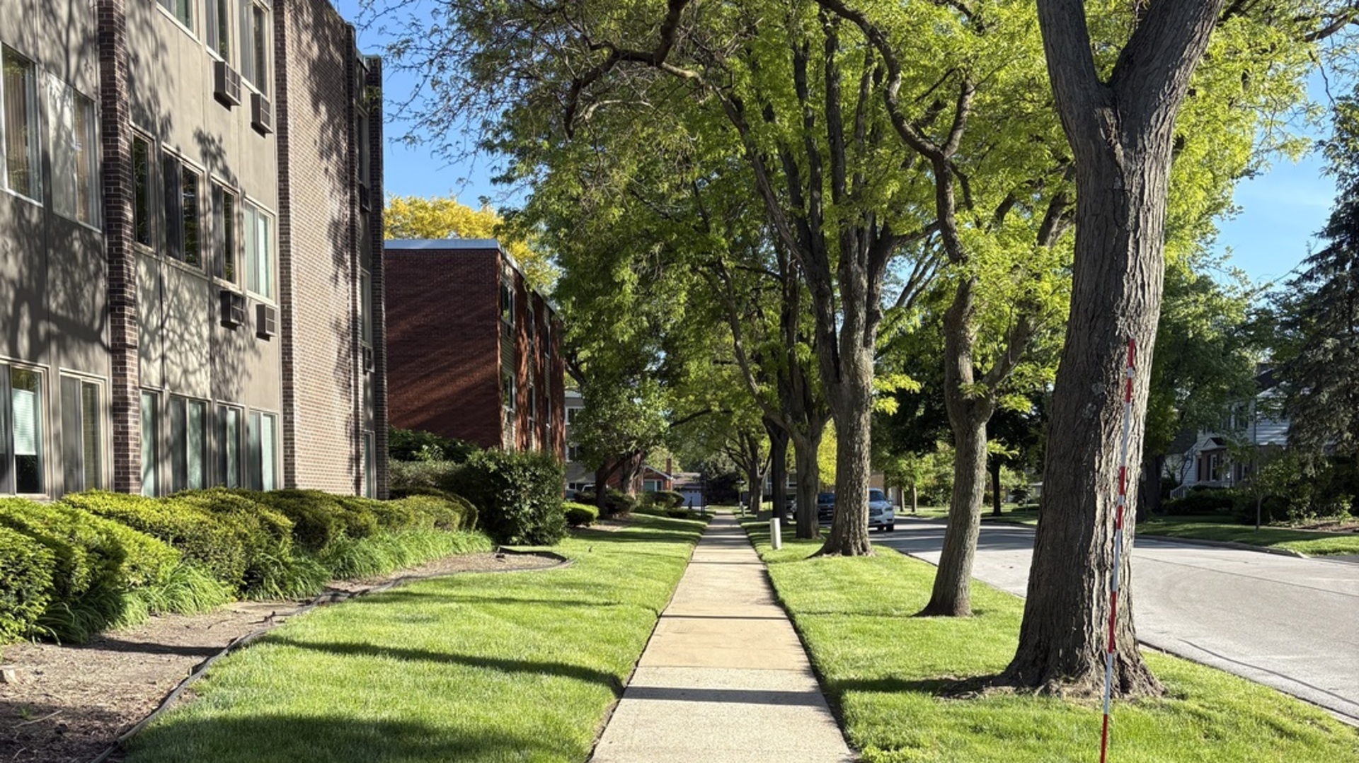 1117 Leavitt Avenue #108, Flossmoor, IL 60422