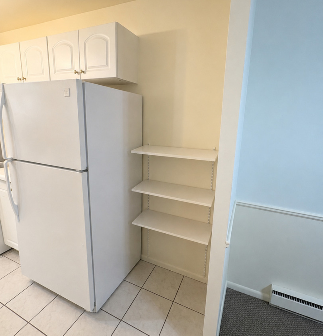 1117 Leavitt Avenue #108, Flossmoor, IL 60422