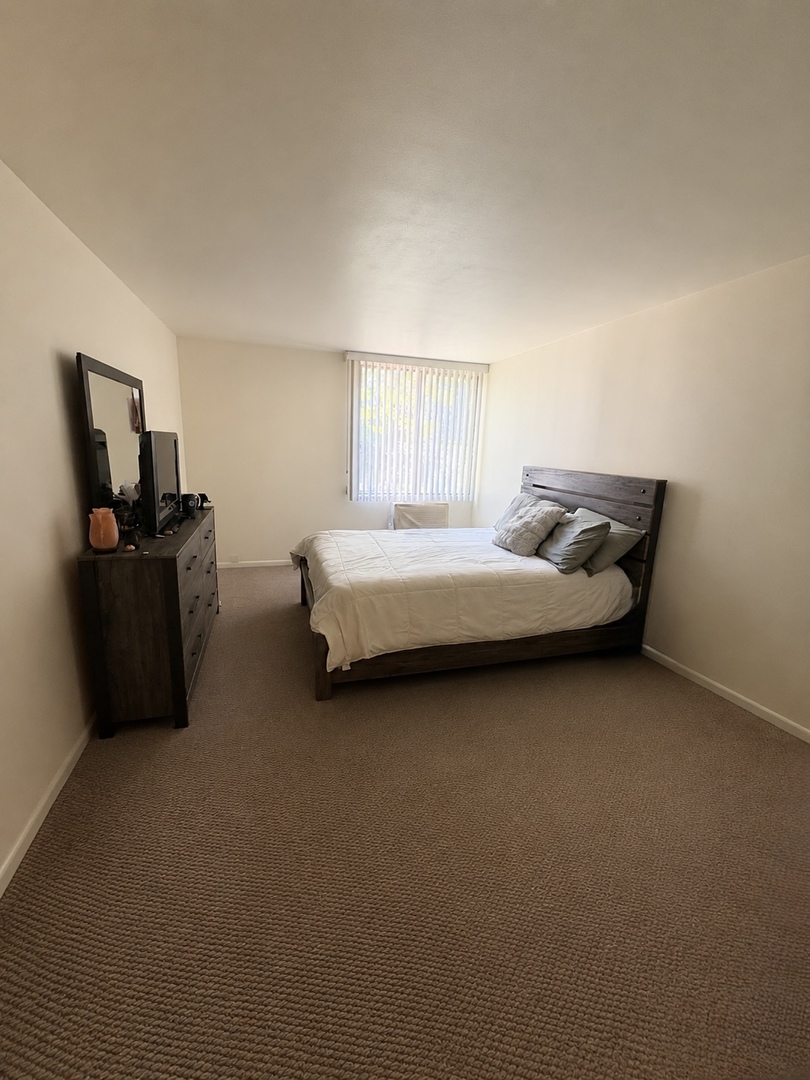 1117 Leavitt Avenue #108, Flossmoor, IL 60422