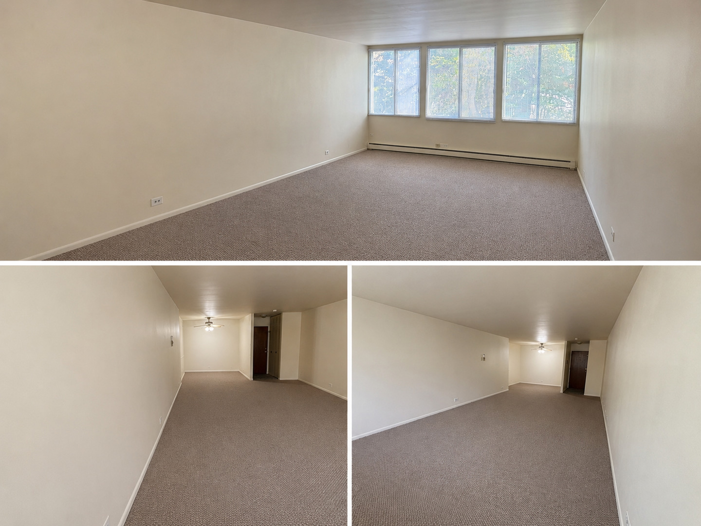 1117 Leavitt Avenue #108, Flossmoor, IL 60422