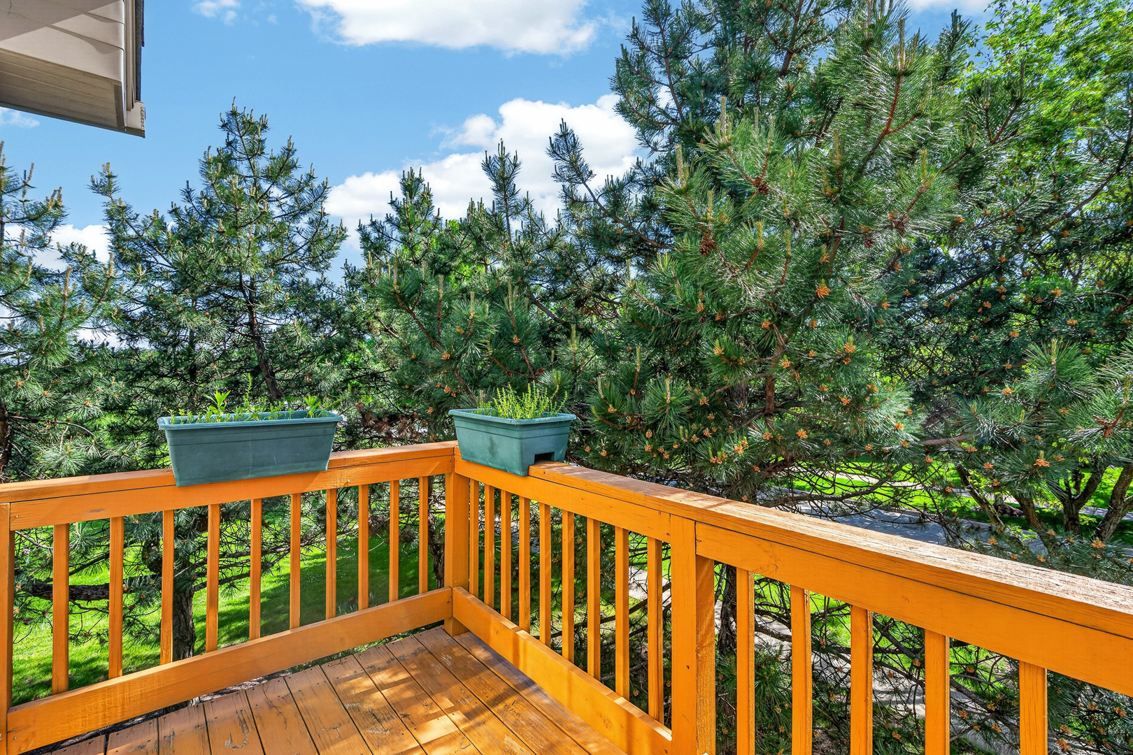 24038 W Walnut Circle #24038, Plainfield, IL 60585