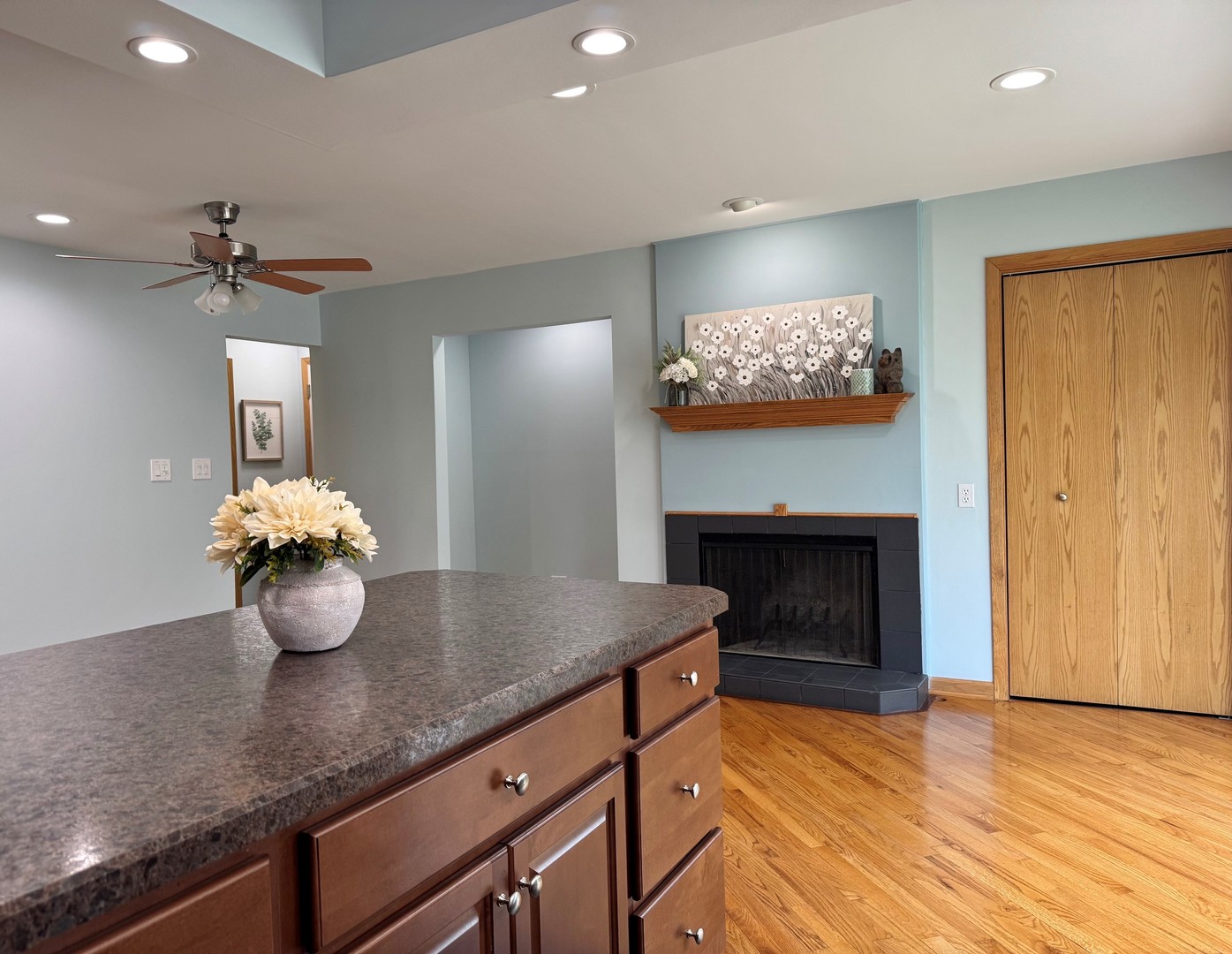 626 Bryce Trail, Roselle, IL 60172