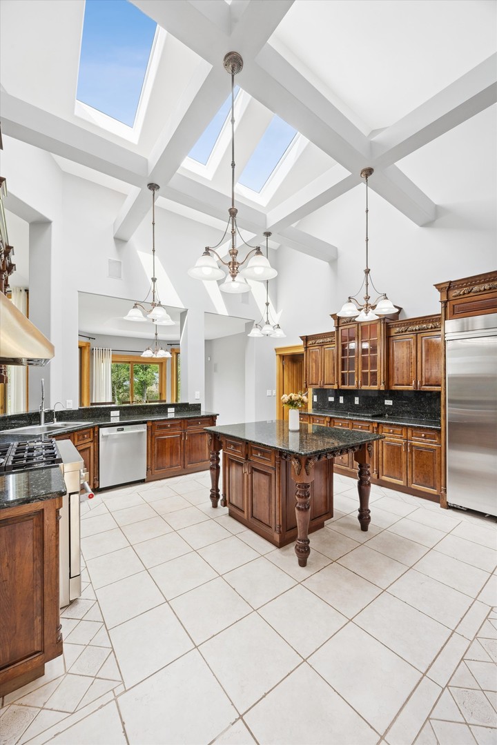 13175 Da Vinci Street, Lemont, IL 60439