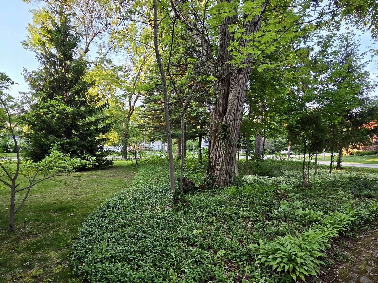 552 Highland Avenue, West Chicago, IL 60185