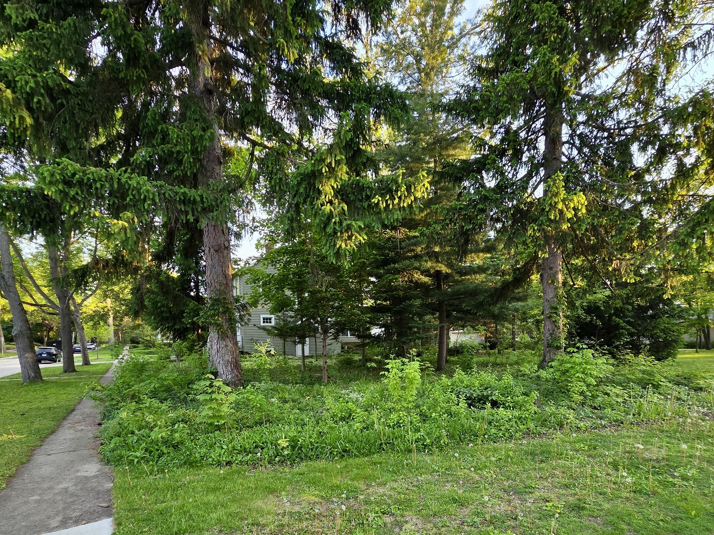 552 Highland Avenue, West Chicago, IL 60185