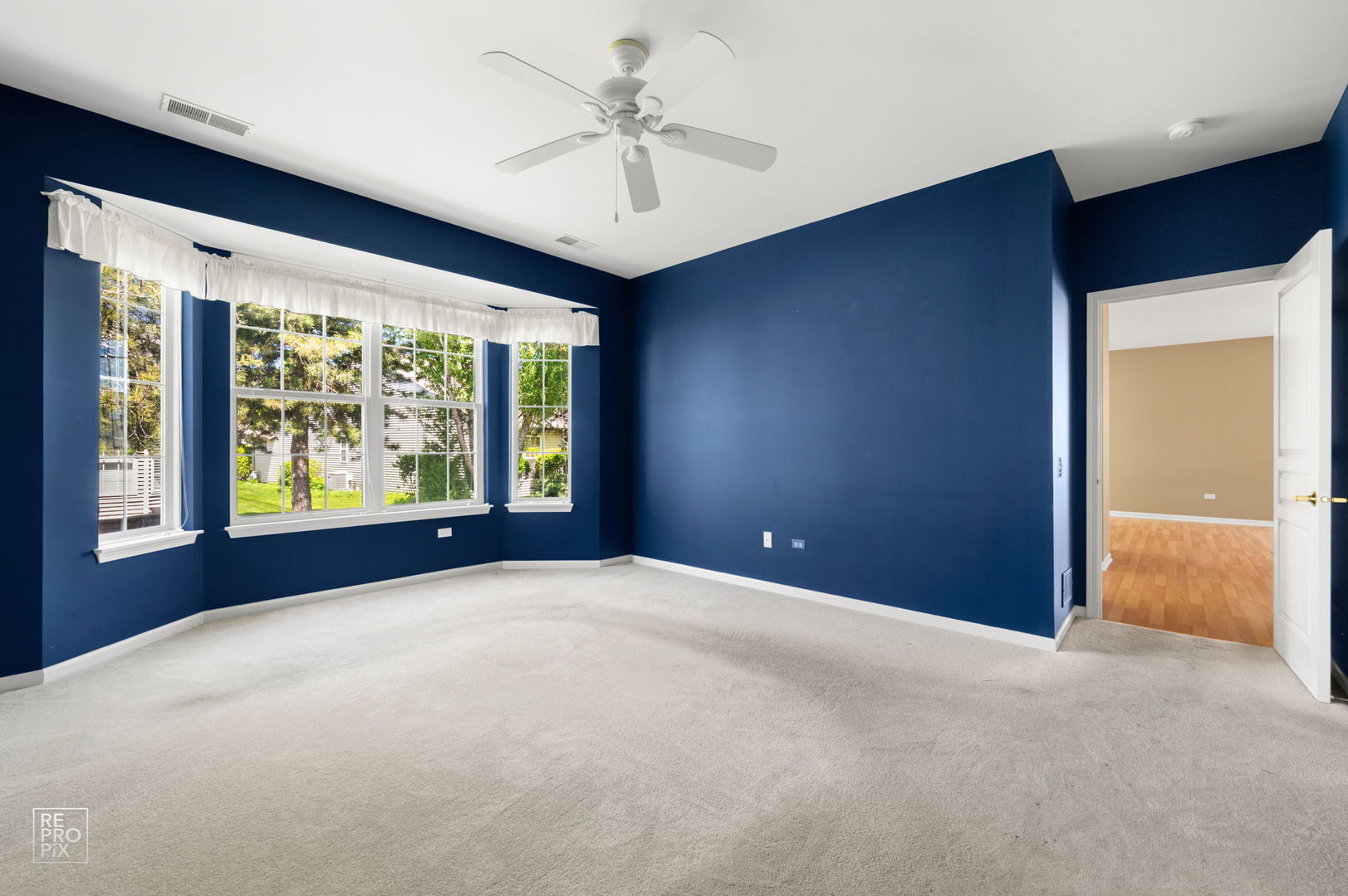 13462 Dearborn Trail, Huntley, IL 60142