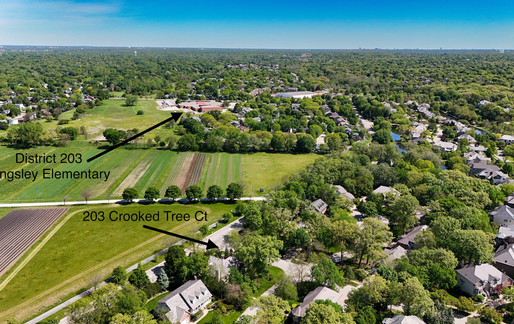 203 Crooked Tree Court, Naperville, IL 60565