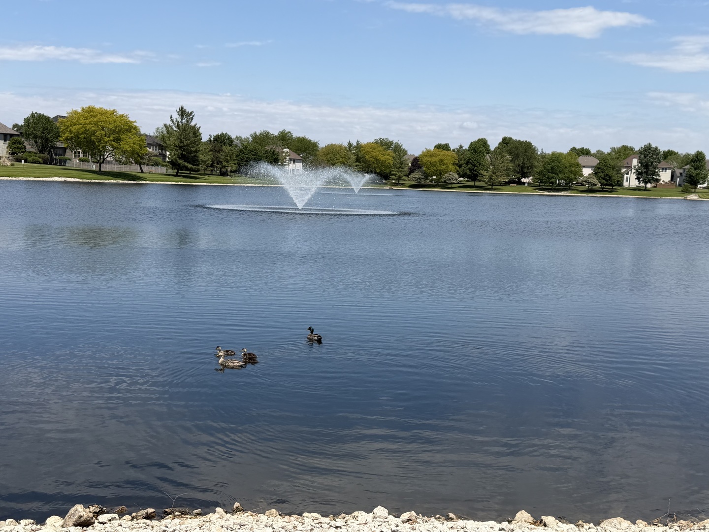 2119 W Thornwood Drive, South Elgin, IL 60177