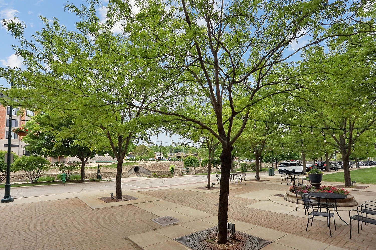 303 Front Street #1401, Lemont, IL 60439