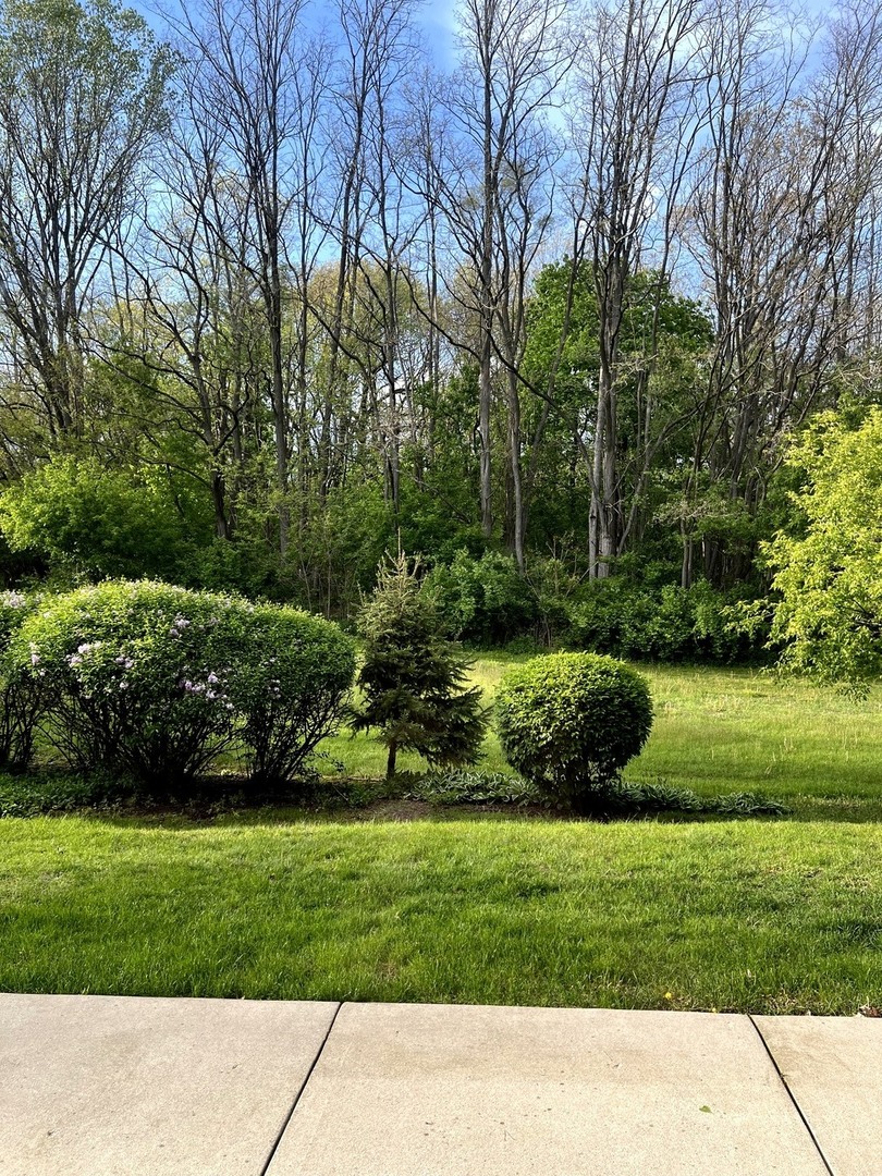 27 Mineola Road #27, Fox Lake, IL 60020