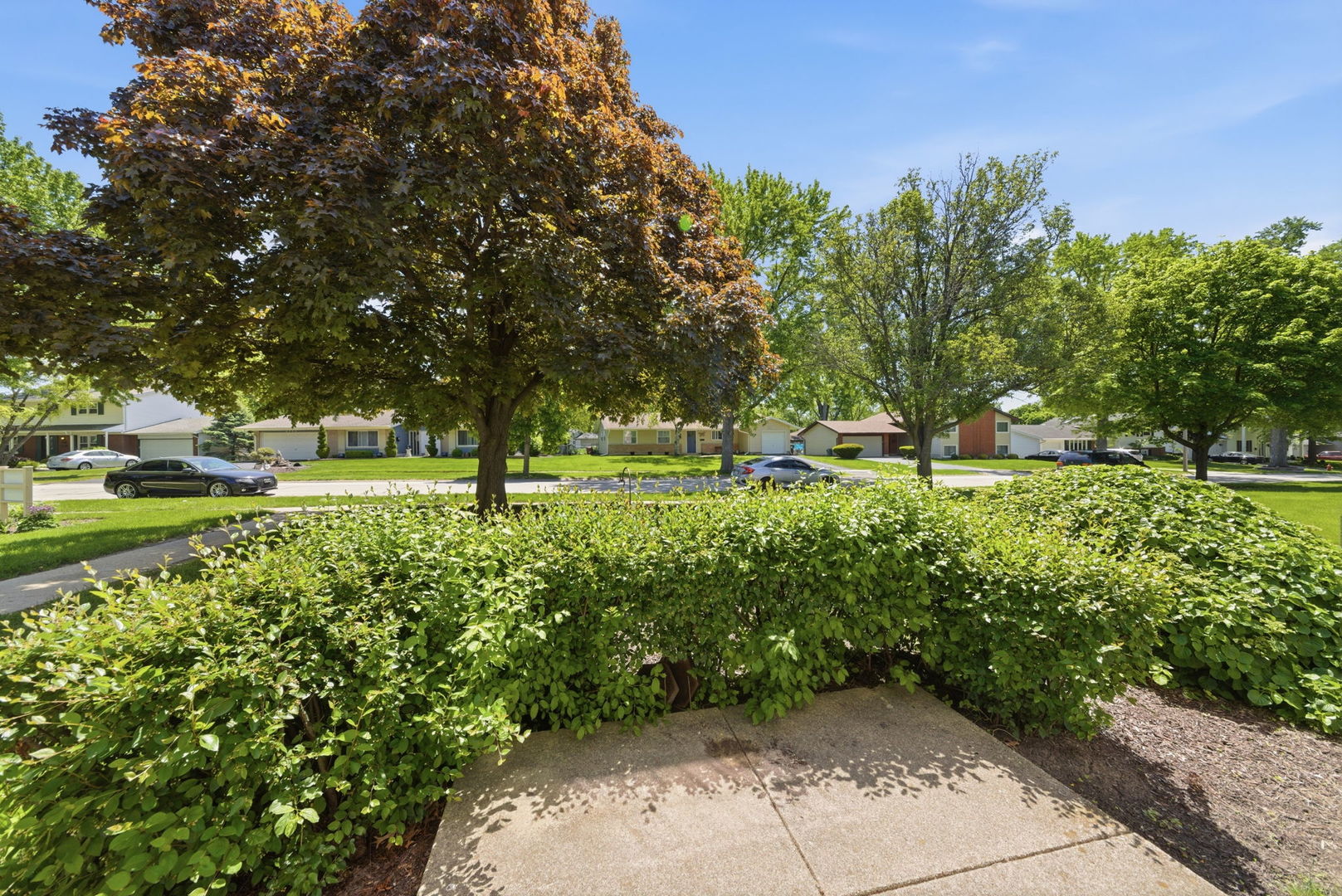 2630 Mitchell Drive #4, Woodridge, IL 60517