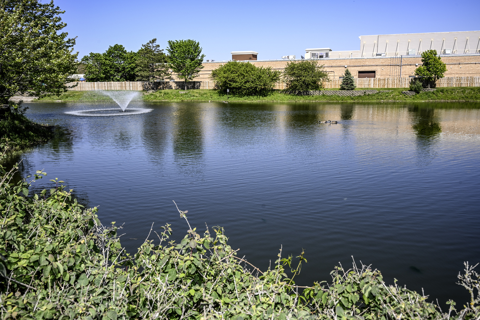 2208 Lake Ridge Drive #2208, Glendale Heights, IL 60139
