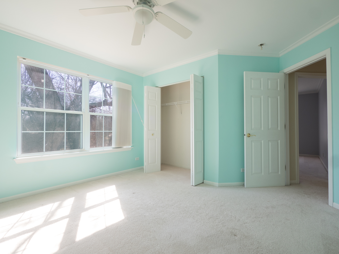 Buffalo Grove, IL 60089