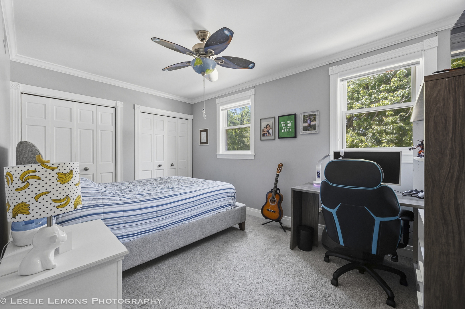 386 Hoyer Court, Naperville, IL 60565