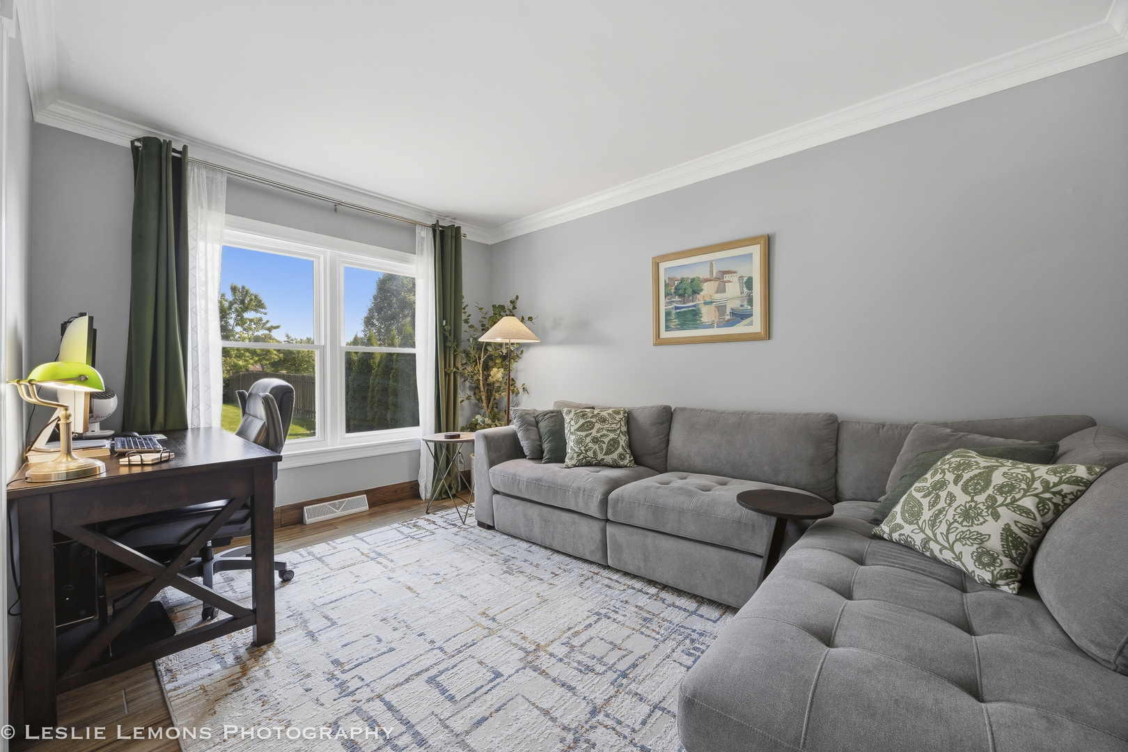 386 Hoyer Court, Naperville, IL 60565