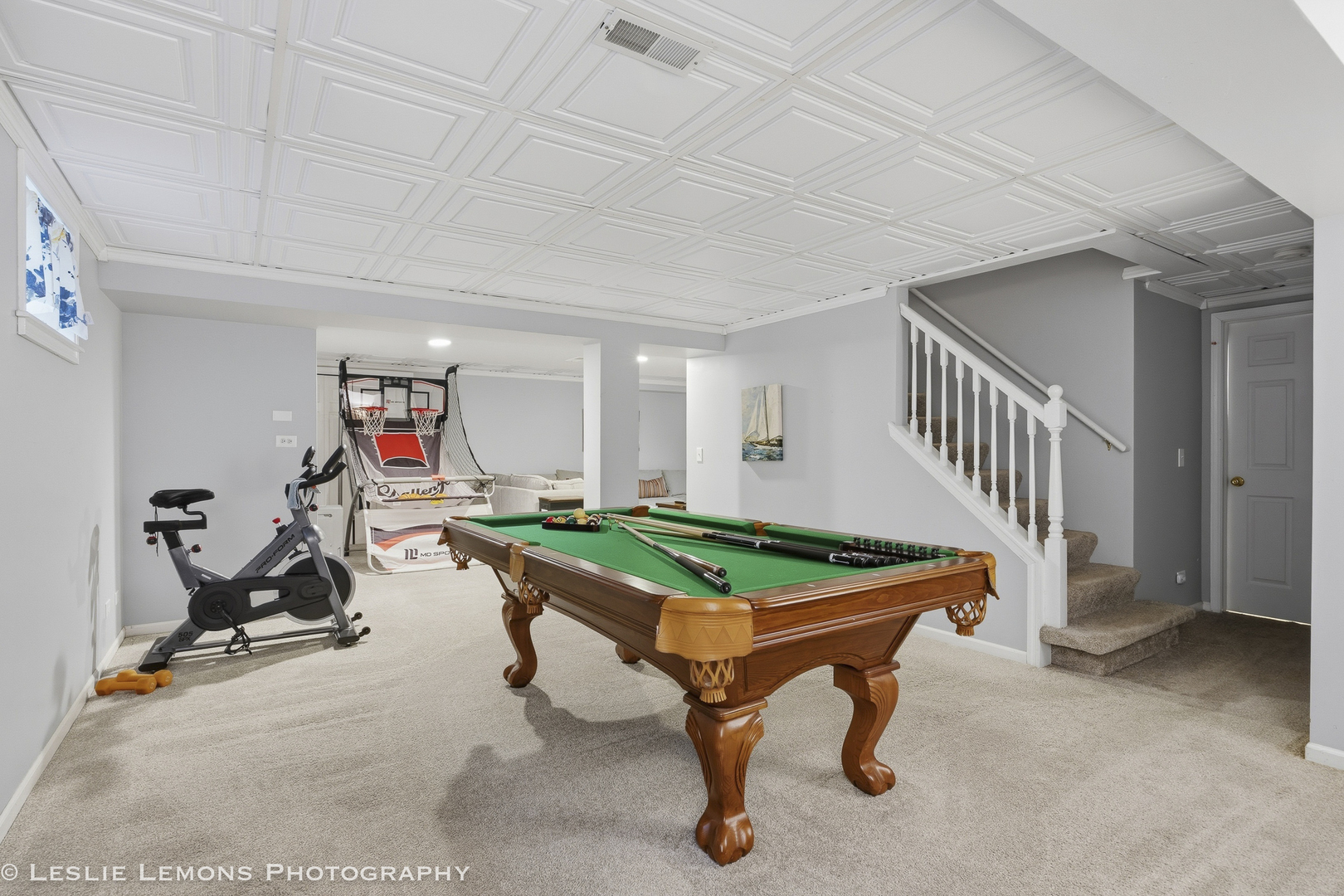 386 Hoyer Court, Naperville, IL 60565
