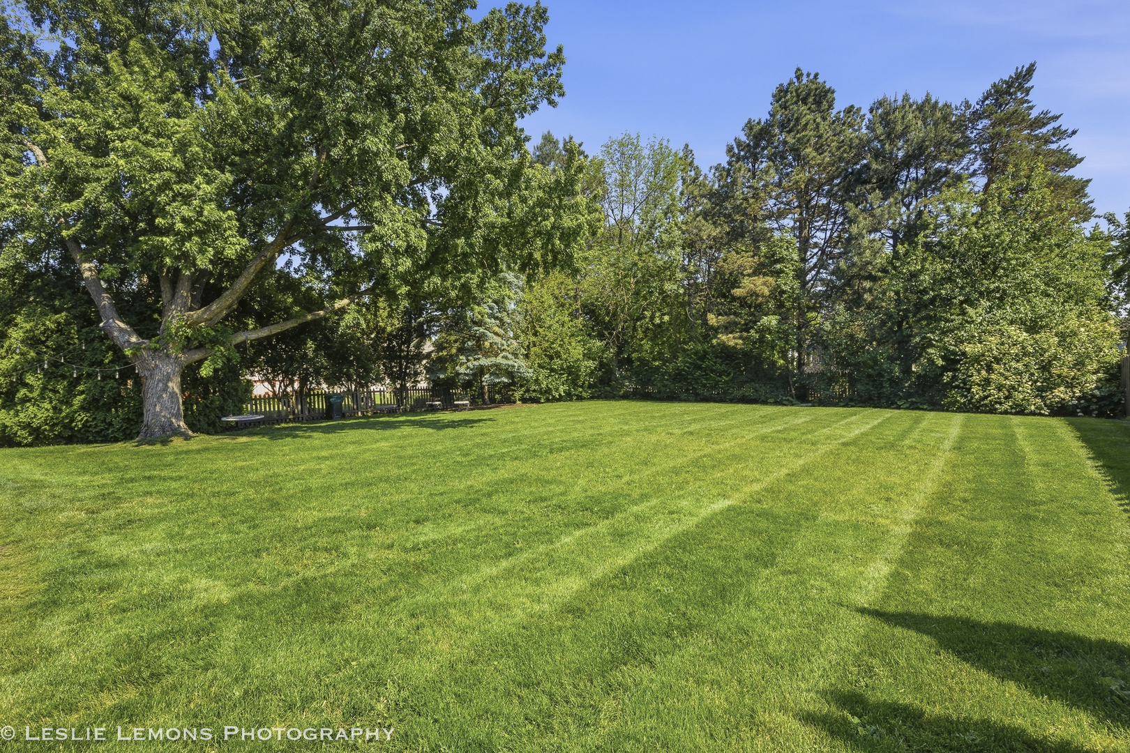 386 Hoyer Court, Naperville, IL 60565