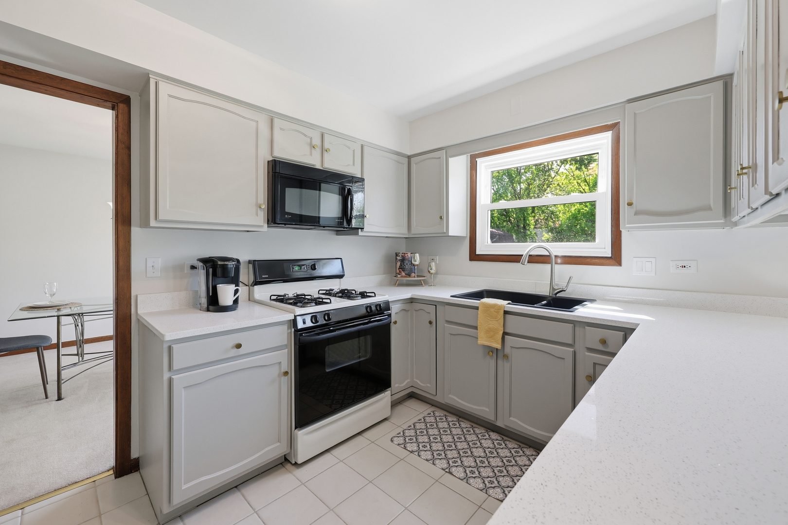 254 Woodville Lane, Schaumburg, IL 60193