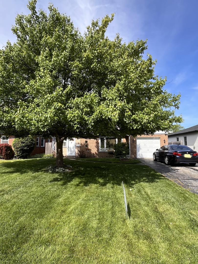 5224 Wolf Road, Western Springs, IL 60558