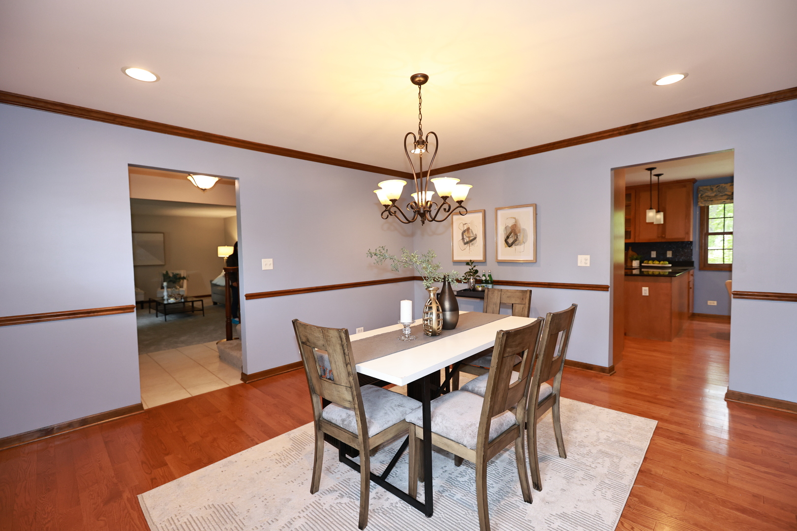 2418 Flambeau Drive, Naperville, IL 60564