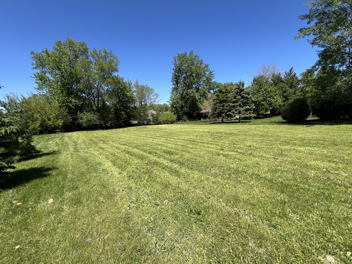 806 Plainfield Road, Downers Grove, IL 60516