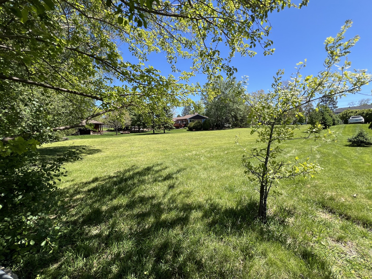 806 Plainfield Road, Downers Grove, IL 60516