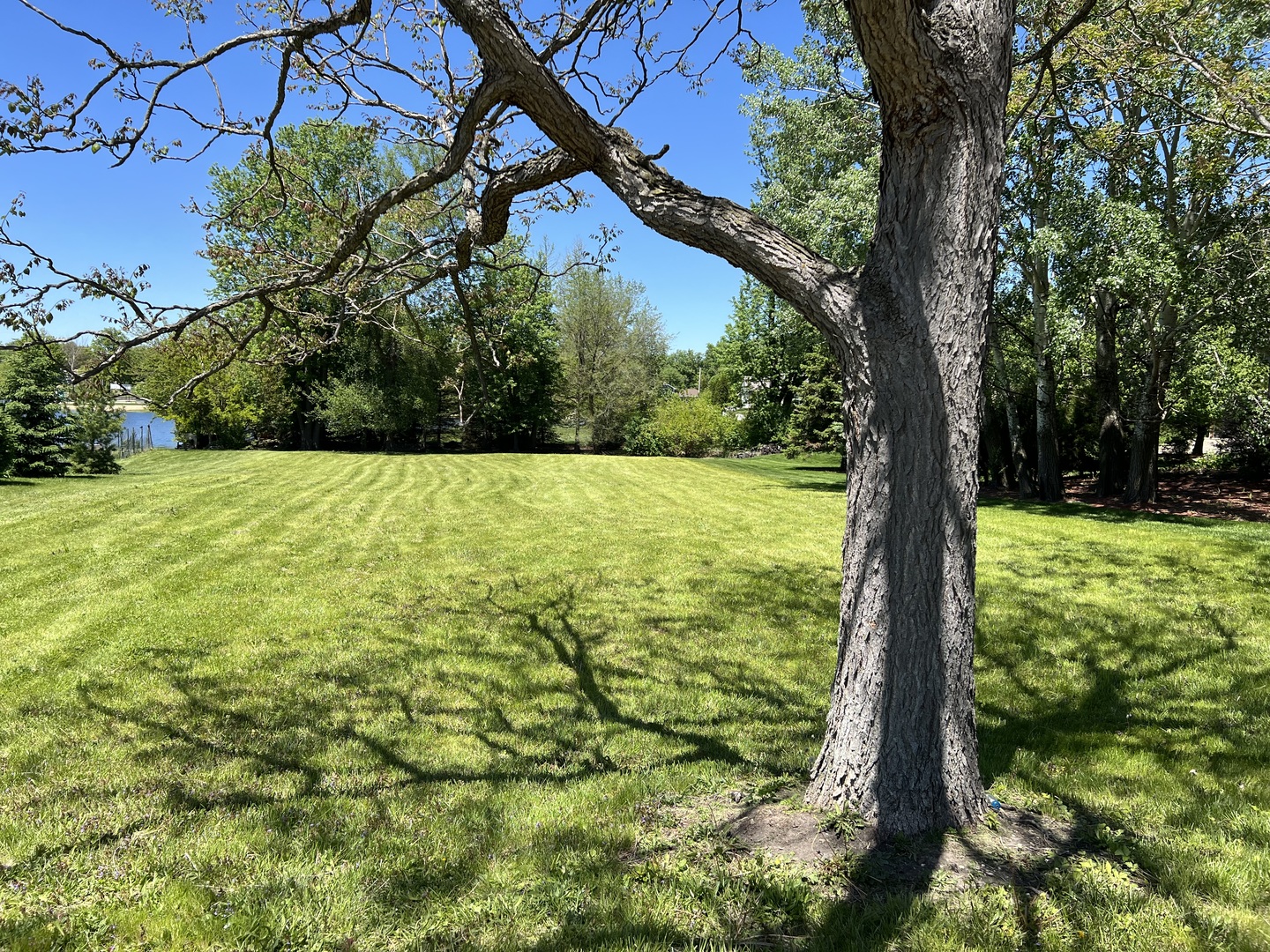 806 Plainfield Road, Downers Grove, IL 60516