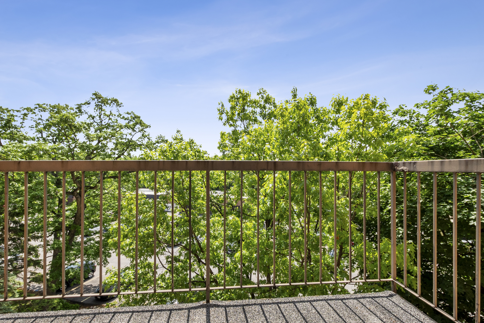 6020 Lake Bluff Drive #502, Tinley Park, IL 60477