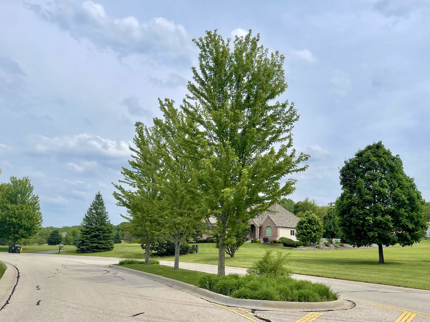7381 English Oak Lane, Spring Grove, IL 60081