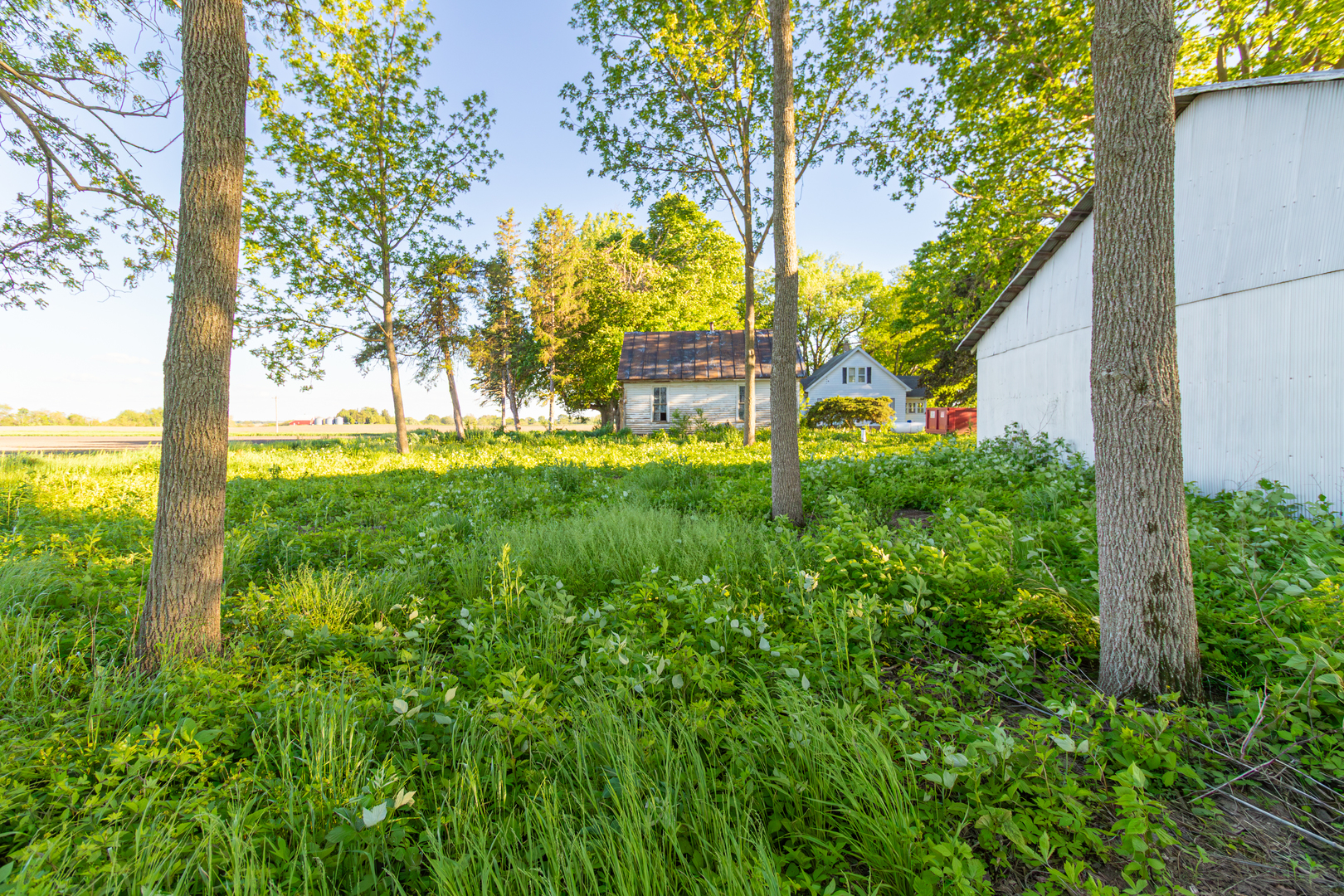 30624 Gils Road, Minier, IL 61759