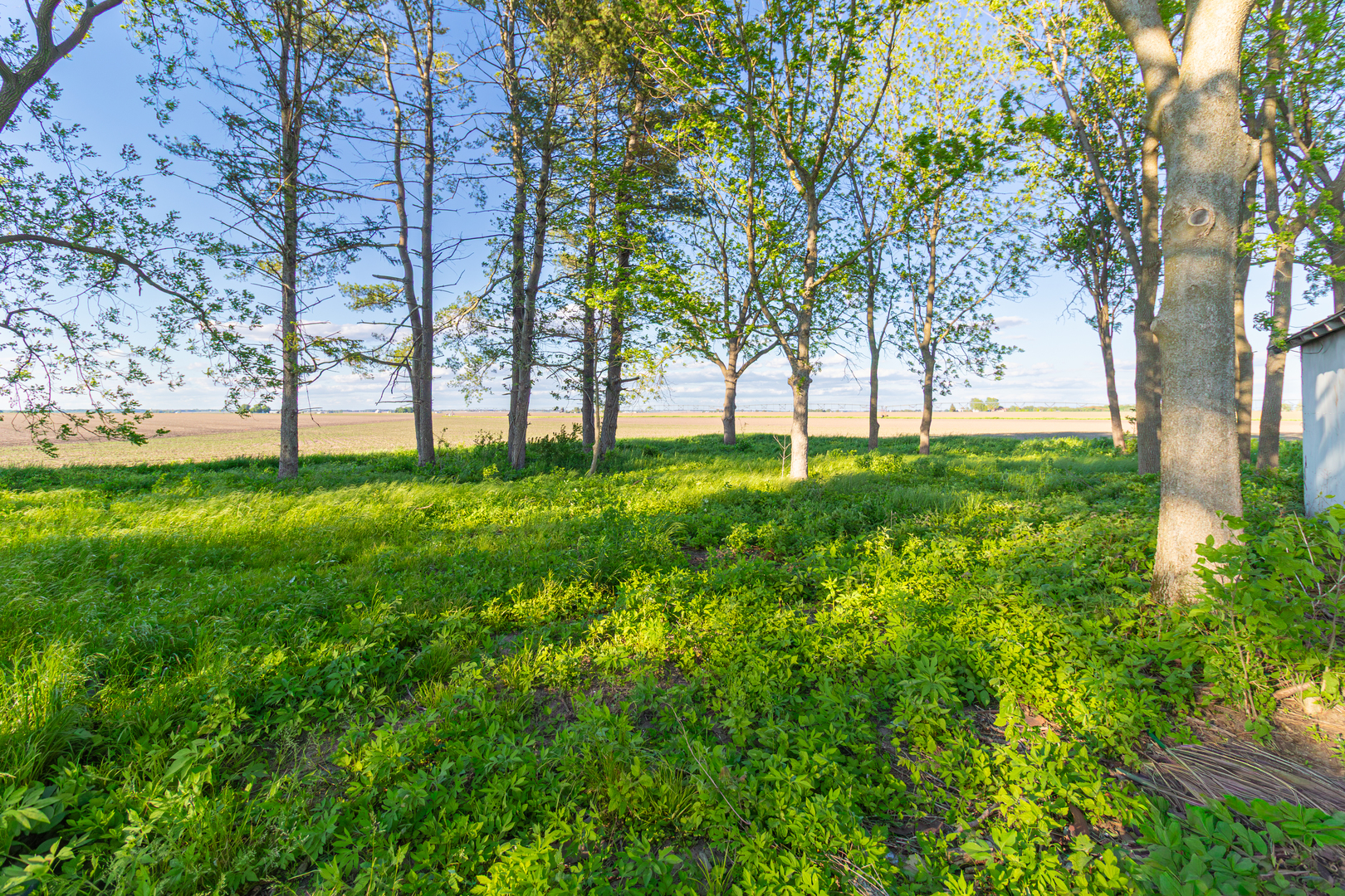 30624 Gils Road, Minier, IL 61759