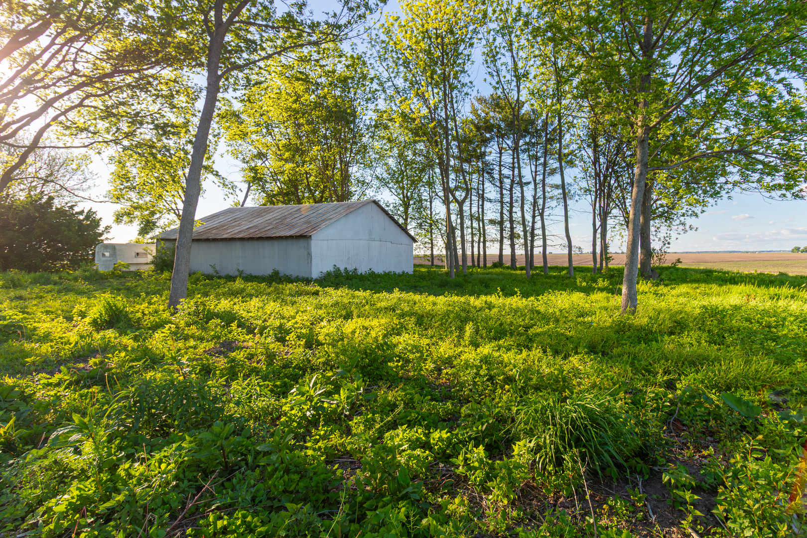 30624 Gils Road, Minier, IL 61759