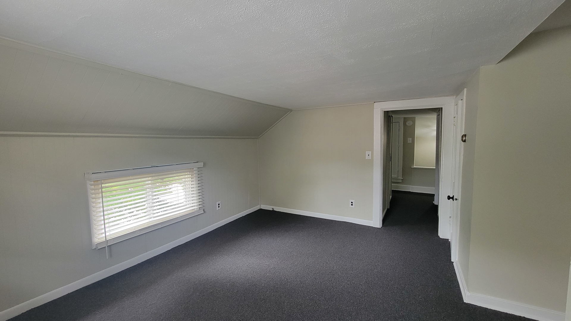 19 N Webster Street #2, Naperville, IL 60540
