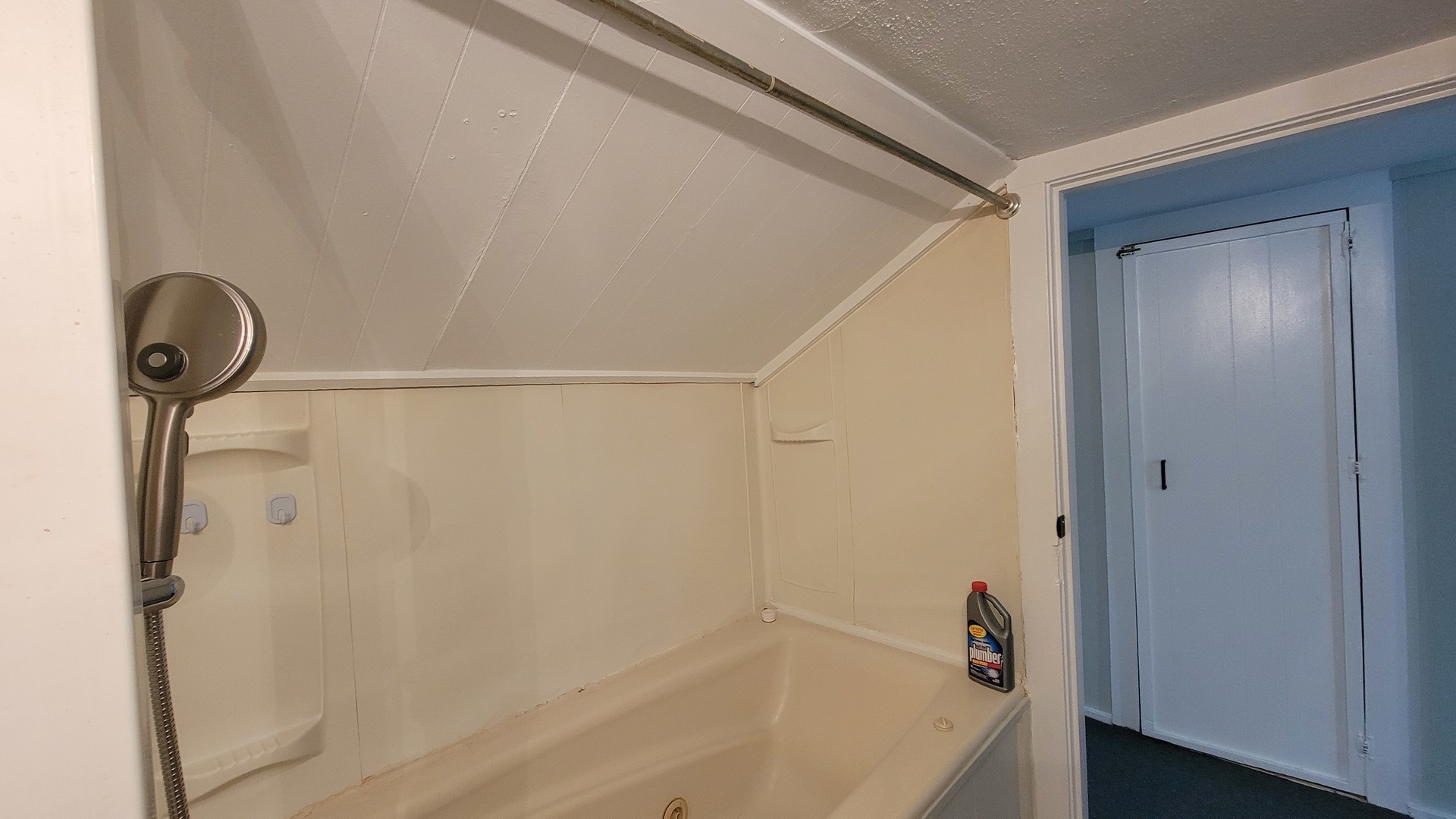 19 N Webster Street #2, Naperville, IL 60540