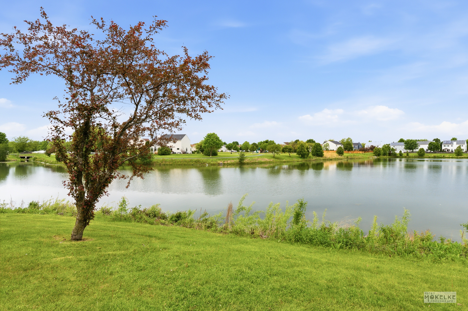 6102 Pheasant Ridge Drive, Plainfield, IL 60586