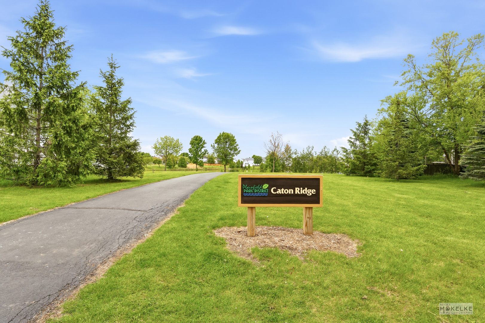 6102 Pheasant Ridge Drive, Plainfield, IL 60586