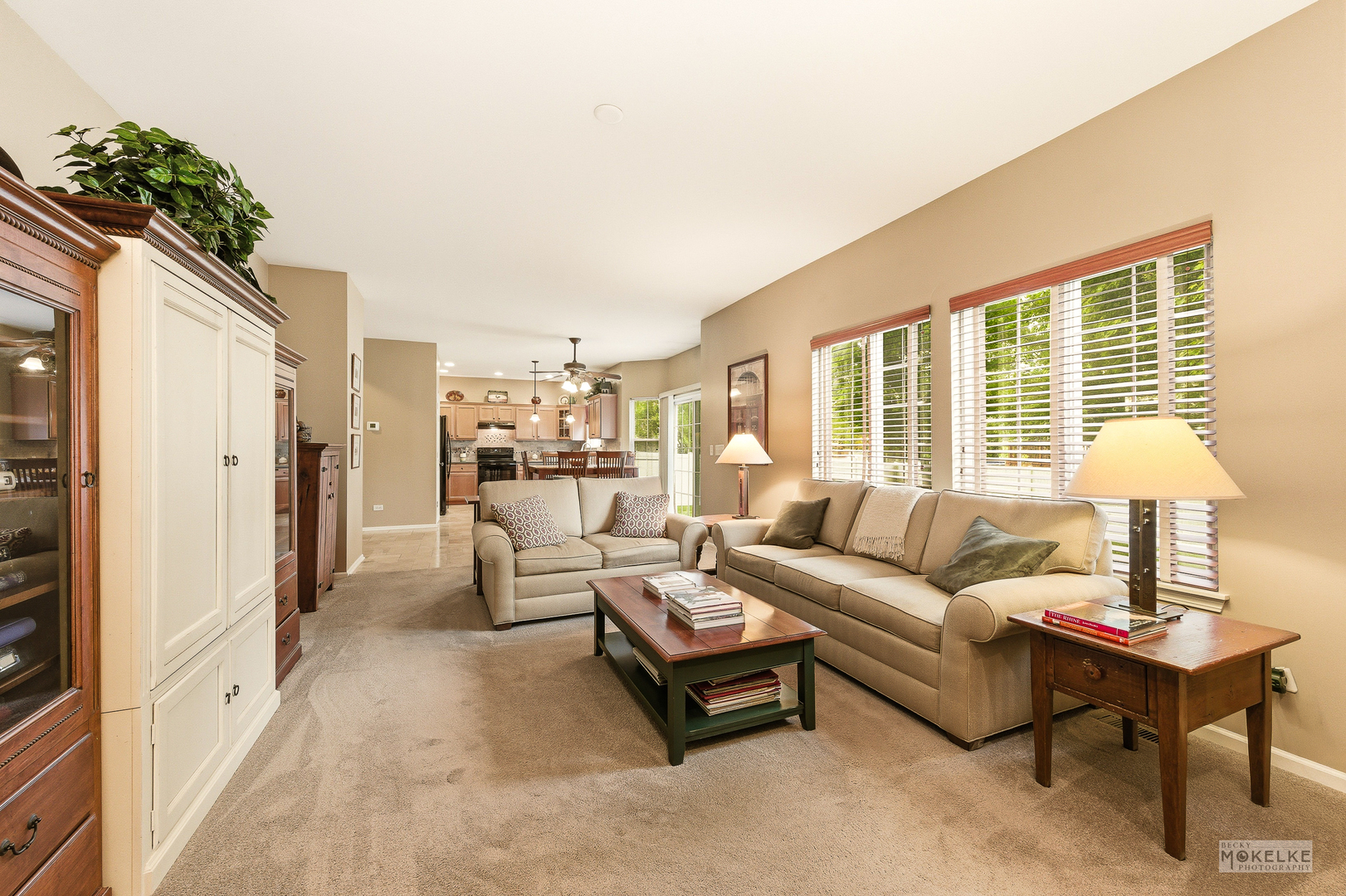 6102 Pheasant Ridge Drive, Plainfield, IL 60586