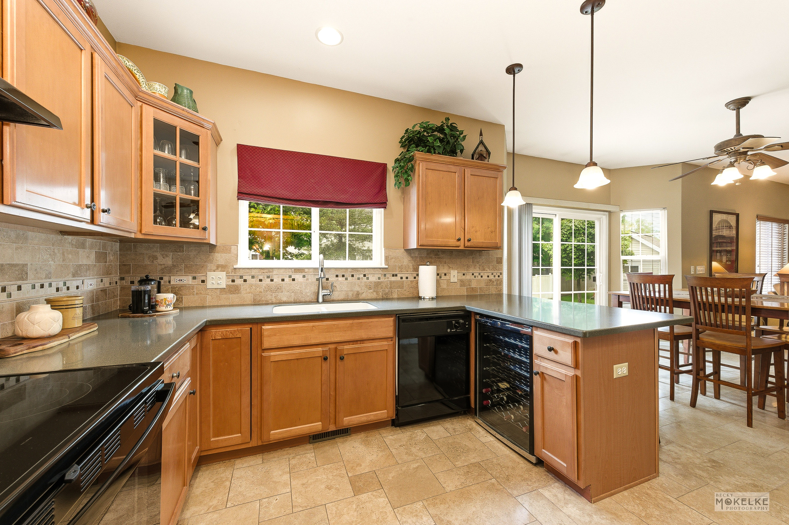 6102 Pheasant Ridge Drive, Plainfield, IL 60586