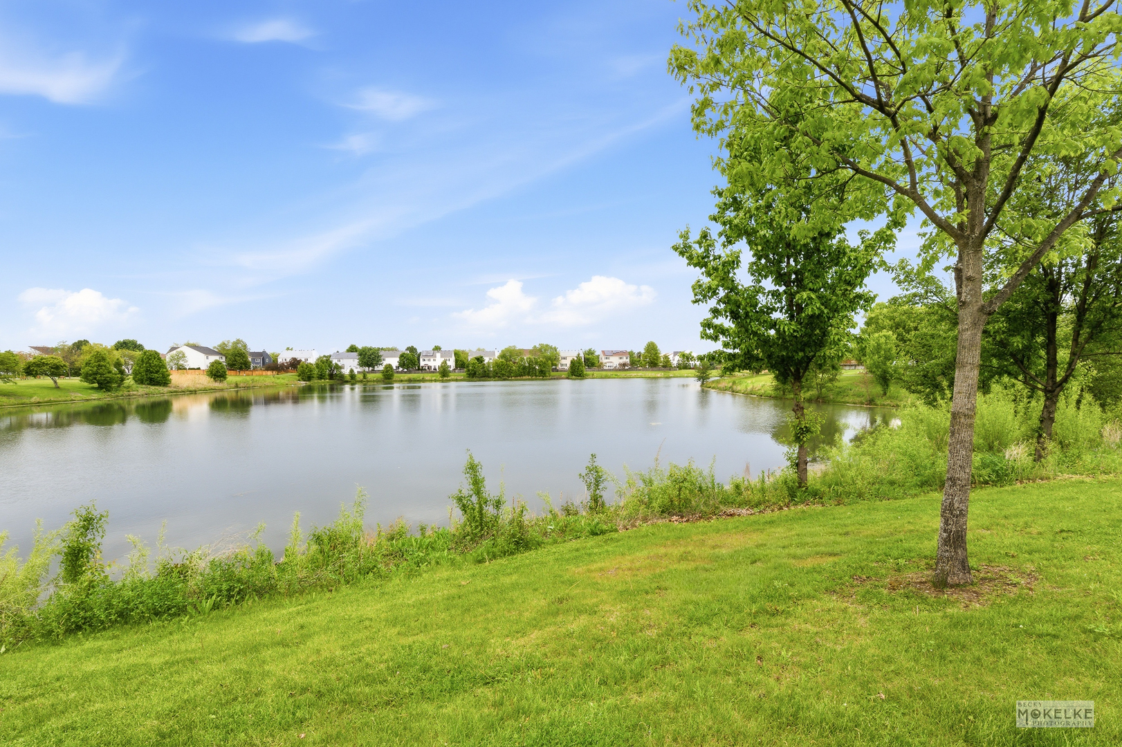 6102 Pheasant Ridge Drive, Plainfield, IL 60586