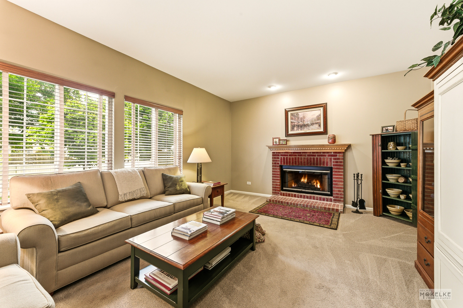 6102 Pheasant Ridge Drive, Plainfield, IL 60586