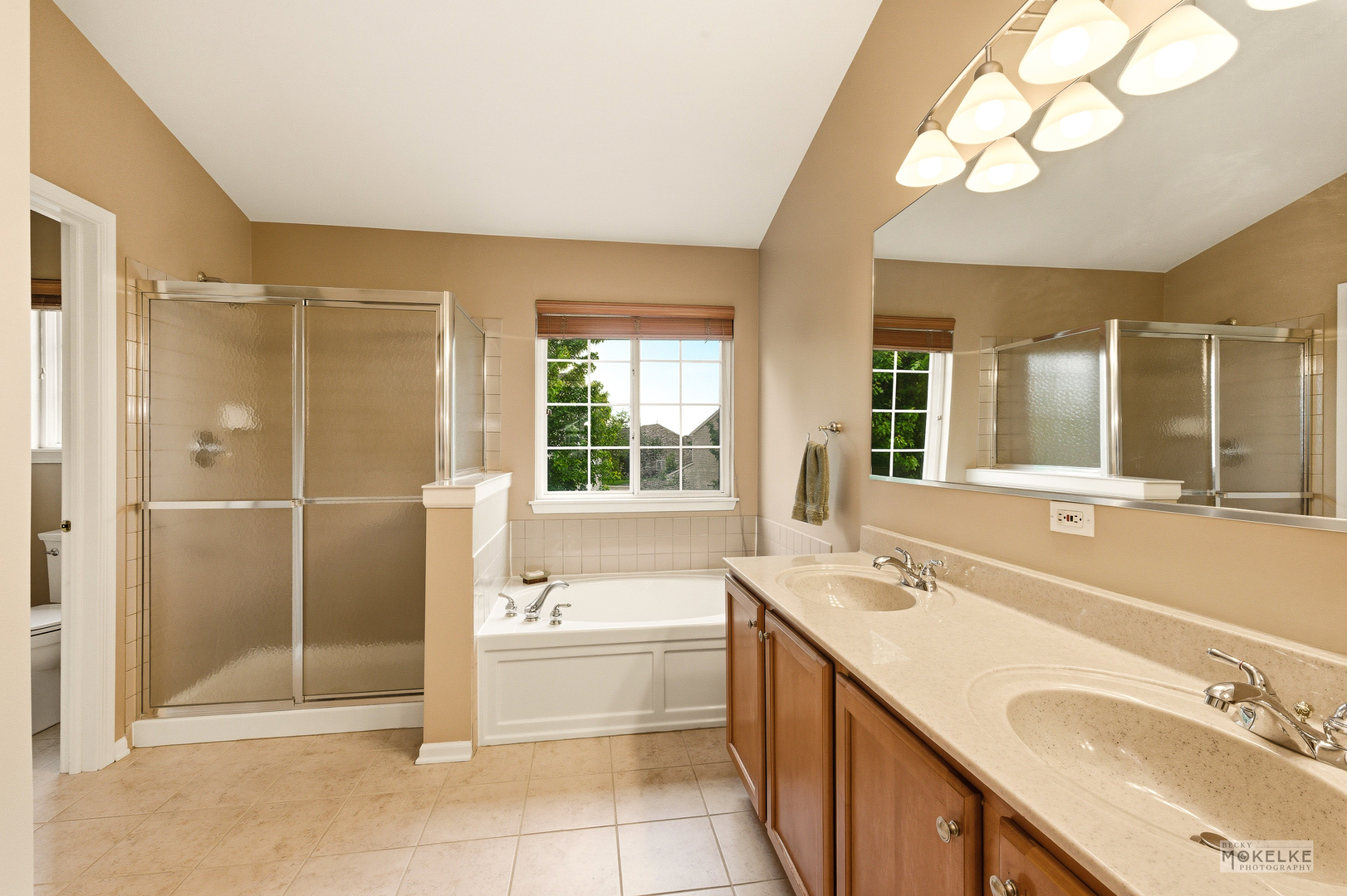 6102 Pheasant Ridge Drive, Plainfield, IL 60586