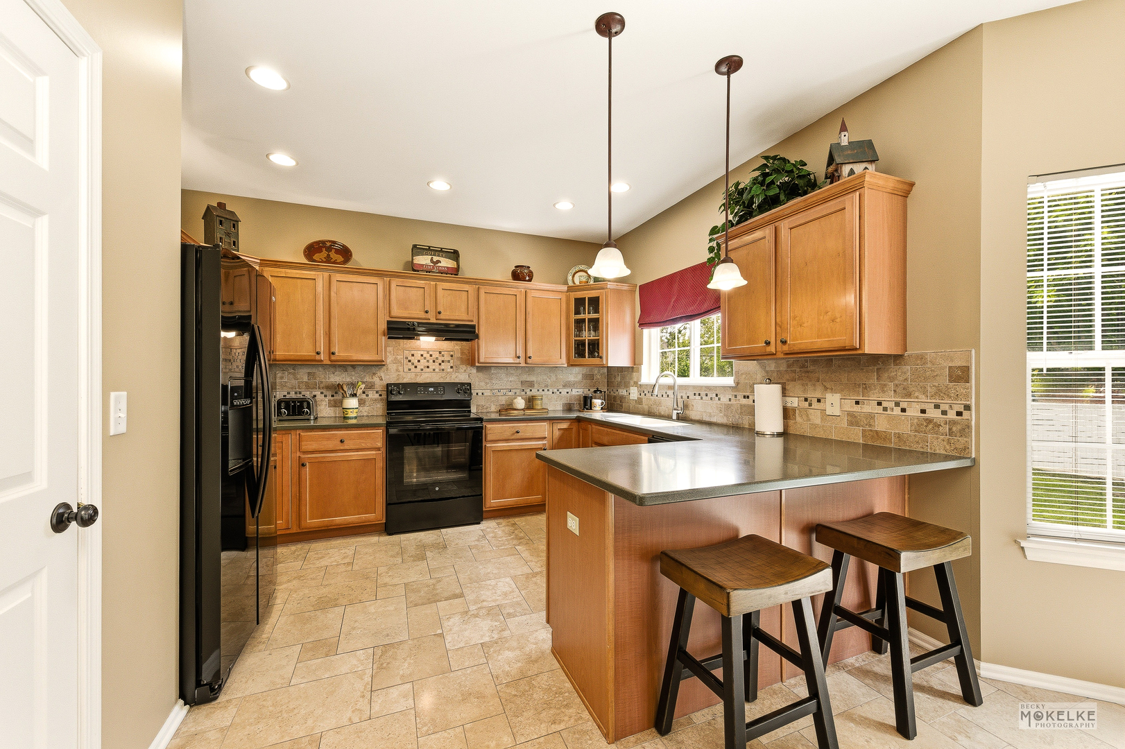 6102 Pheasant Ridge Drive, Plainfield, IL 60586