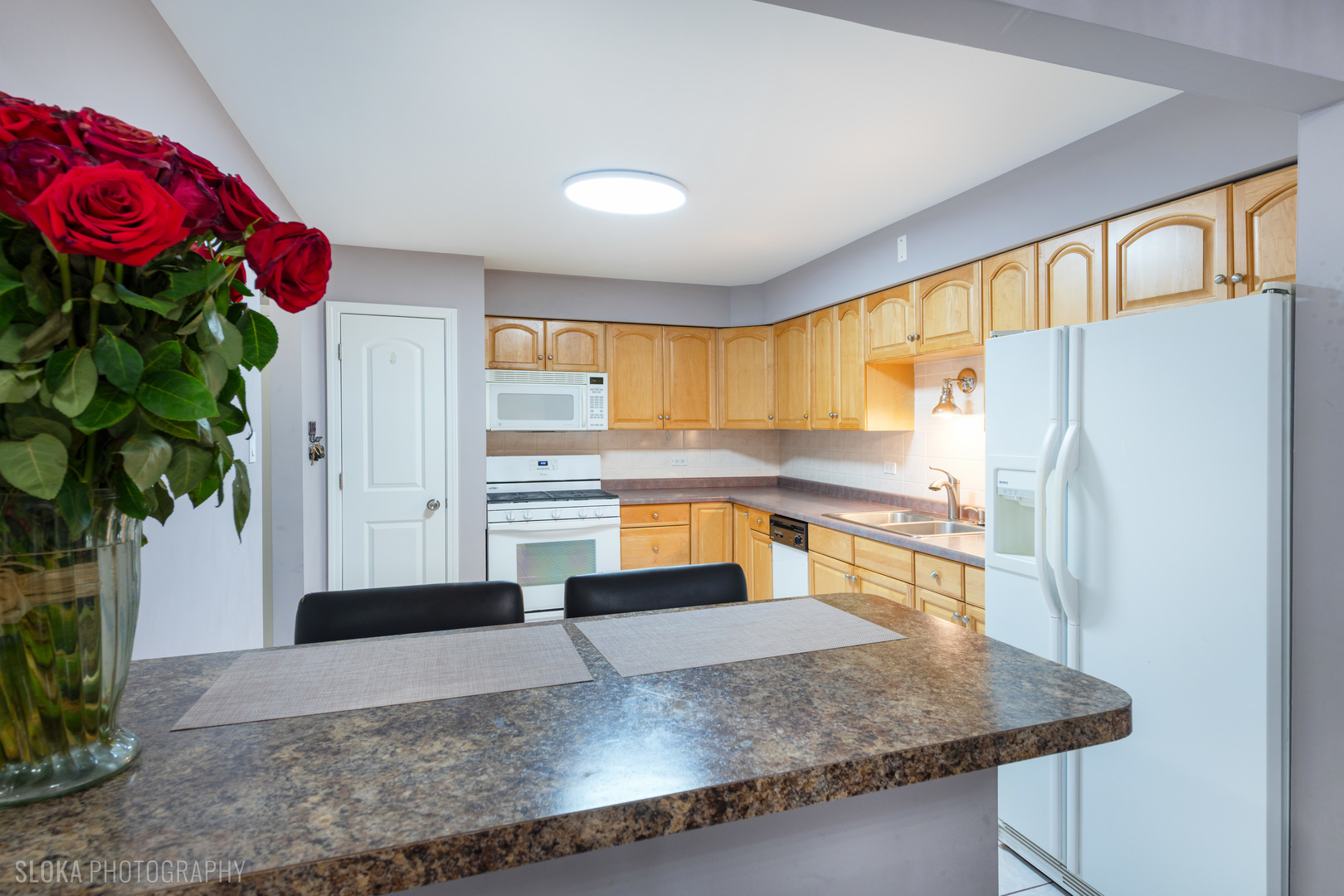 3023 N Paris Avenue #206, River Grove, IL 60171